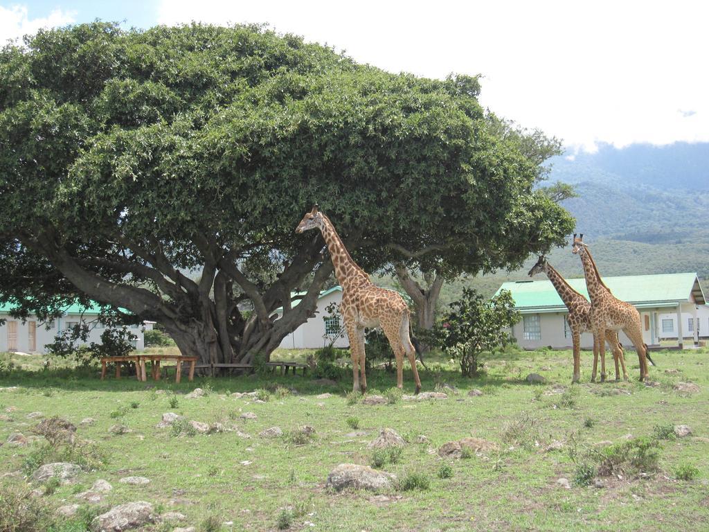 Nature Homes - Africa Amini Life Nkoanrua Buitenkant foto