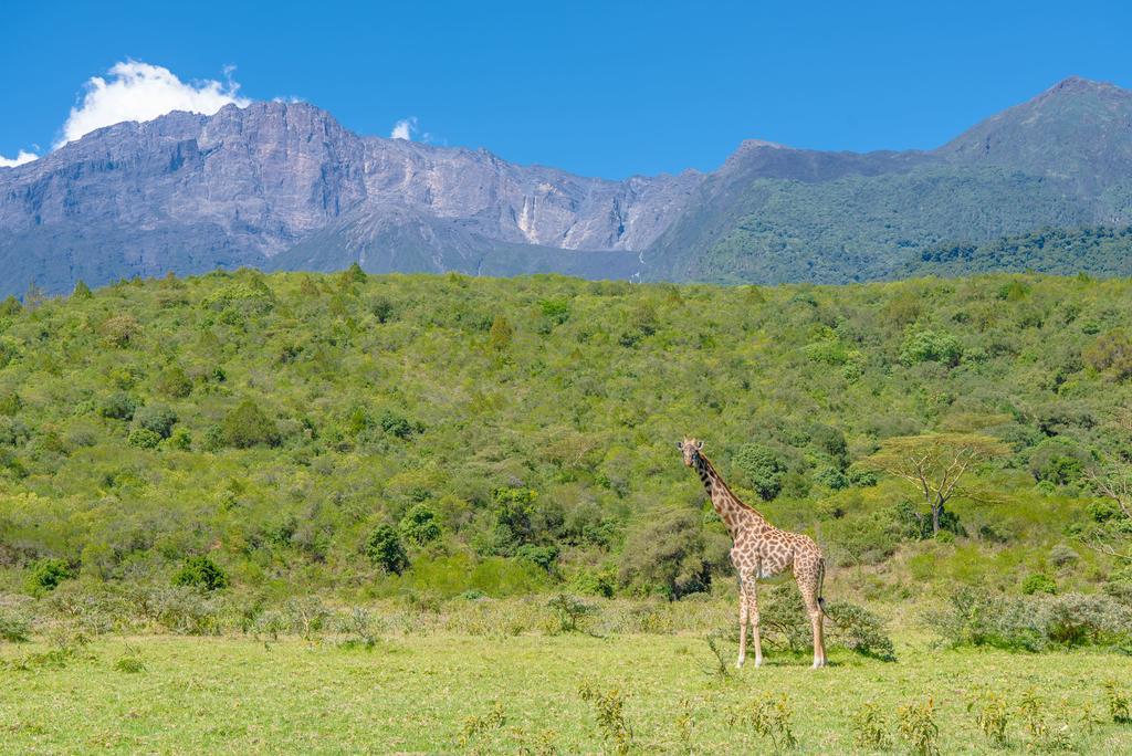 Nature Homes - Africa Amini Life Nkoanrua Buitenkant foto