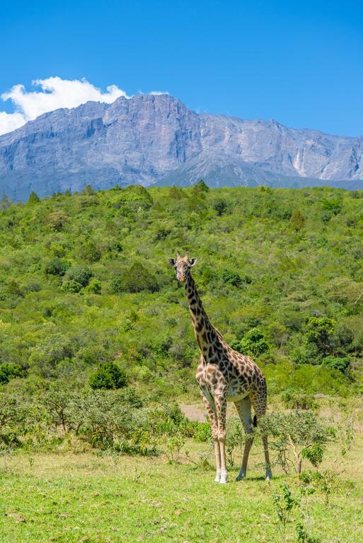 Nature Homes - Africa Amini Life Nkoanrua Buitenkant foto
